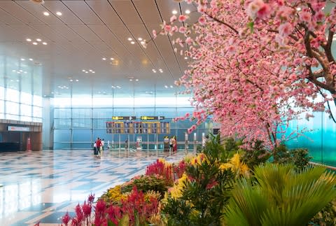 Atlanta is biggest, but Changi is best - Credit: ALAMY