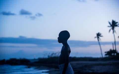 Moonlight (2016) - Credit: Film Stills