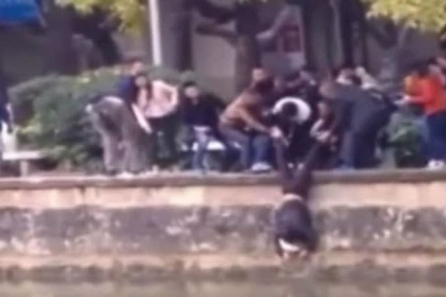 People form human chain to rescue elderly man from river in China