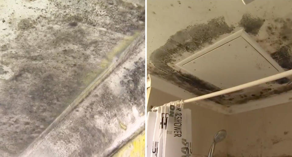 Sydney government housing unit shown with mould covering the bathroom ceiling.