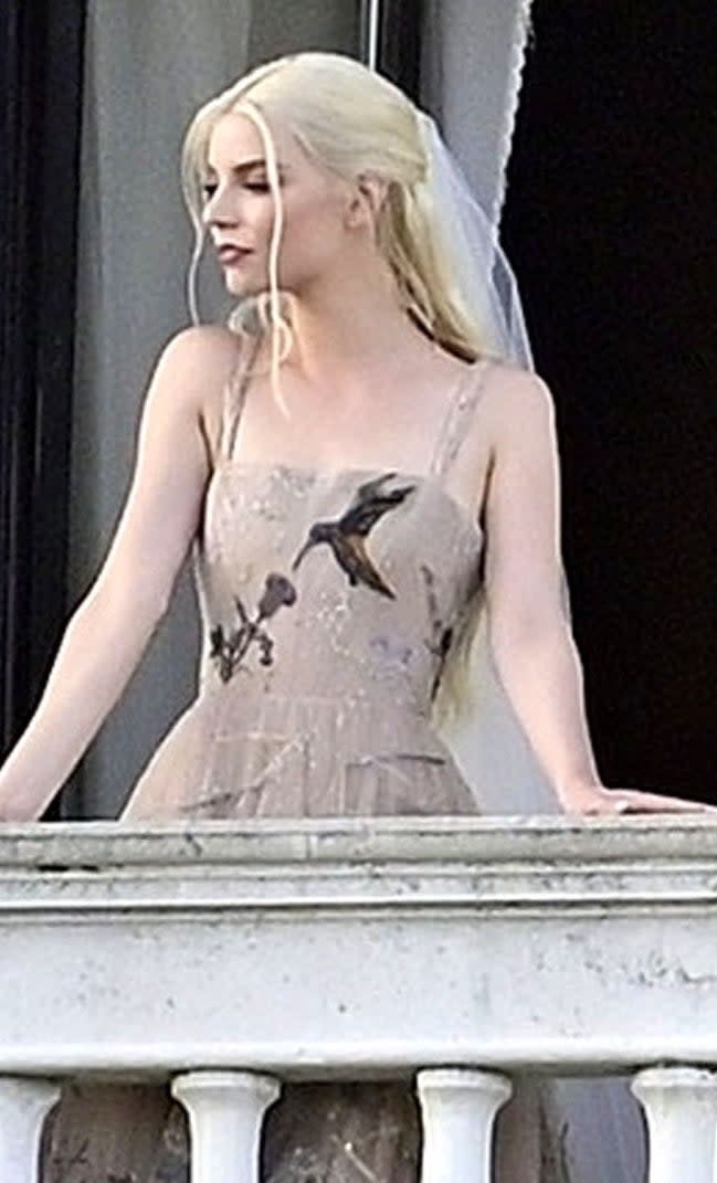 closeup of her in the dress