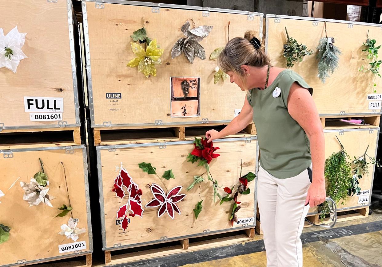 From salmon to scarlet, every color poinsettia imaginable is used to  decorate Disney World for the holidays. Holiday Services manager Lisa Borotkanics points out a few.