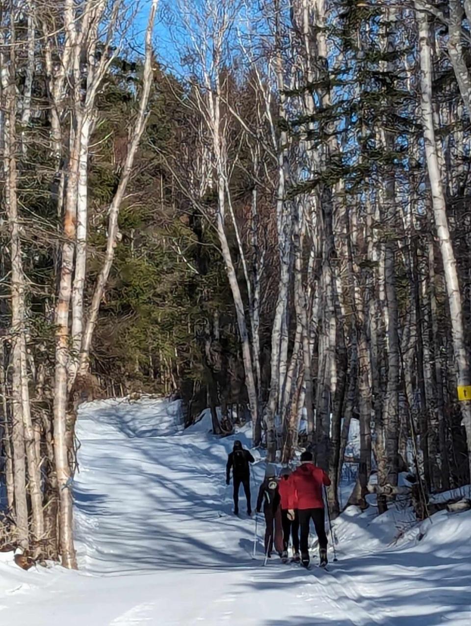 Some cross-country skiers are shown on one of North Highlands Nordic's trails.