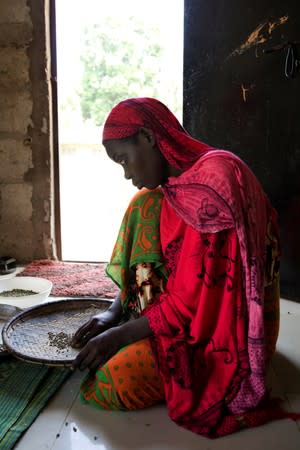 The Wider Image: Tanzania's Zanzibar begins to register traditional healers