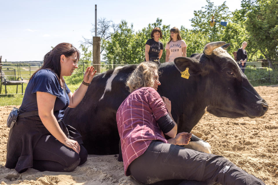 Hofchefin Jessica Exner (r) demonstriert Melanie John das Kuscheln mit dem schwarz-bunten Holstein-Bullen Monty auf dem «Hof der Verbundenheit» (Foto: Frank Hammerschmidt/dpa)