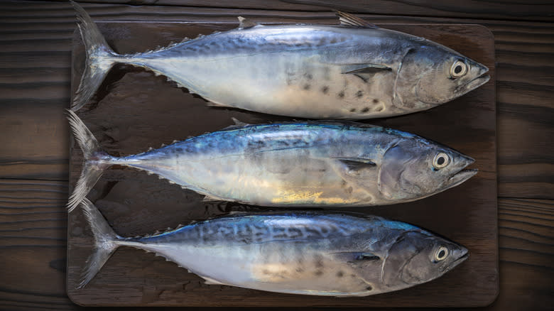 whole tuna fish on a cutting board