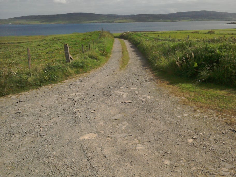 <p>The road leading up to the hut shows just how isolated the site is. But for $18 a night, why not? </p>