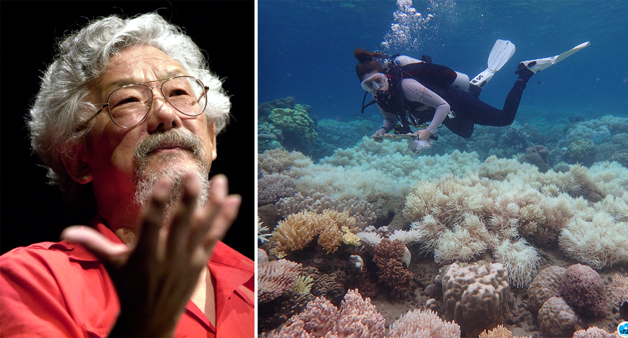 Left - an image of Dr Suzuki. Right - a diver on the Great Barrier Reef