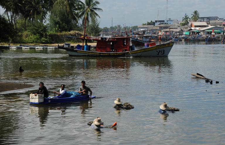 Local women are seen collecting oysters in the Narathiwat river, in Thailand's southern province of Narathiwat, on March 28, 2014