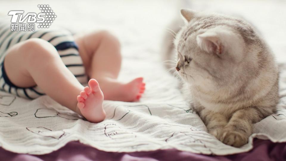 貓咪其實對於新生兒和小孩子特別包容。（圖／翻攝自Arlene Marquez臉書）