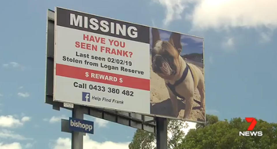 A Queensland dog owner has paid $1200 for a huge sign after her beloved French bulldog went missing. Source: Help Find Frank/Facebook