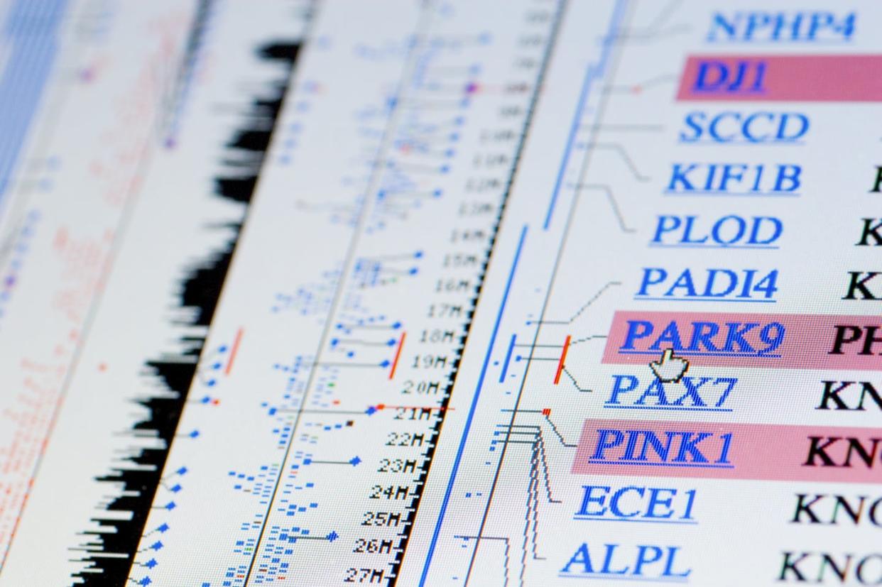 Multiple gene variants are linked to Parkinson's disease, but which ones are the most relevant? <a href="https://www.gettyimages.com/detail/photo/parkinson-disease-royalty-free-image/172646513" rel="nofollow noopener" target="_blank" data-ylk="slk:dra_schwartz/E+ via Getty Images;elm:context_link;itc:0;sec:content-canvas" class="link ">dra_schwartz/E+ via Getty Images</a>