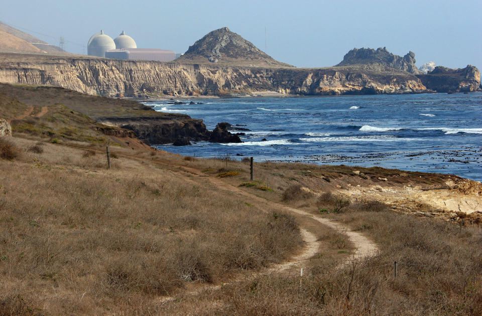 FILE - In this Sept. 20, 2005 file photo is the Diablo Canyon Nuclear Power Plant in Avila Beach, Calif. State and federal officials are juggling concerns over endangered whales and other marine life with public safety as they mull over plans to use massive air canons to create new earthquake fault maps in two state marine reserves off the Central Coast. Pacific Gas & Electric Co. wants to use the canons to make maps of shoreline fault zones recently discovered near its Diablo Canyon nuclear power plant. (AP Photo/Michael A. Mariant, File)