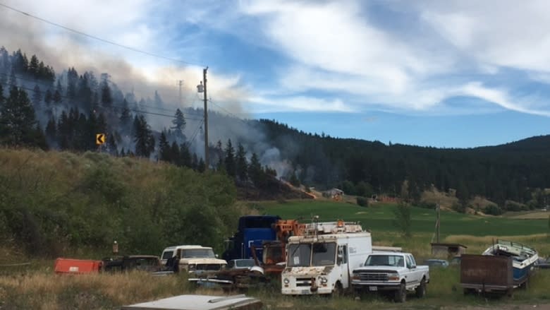 Wildfire prompts evacuations near Monte Lake, B.C.