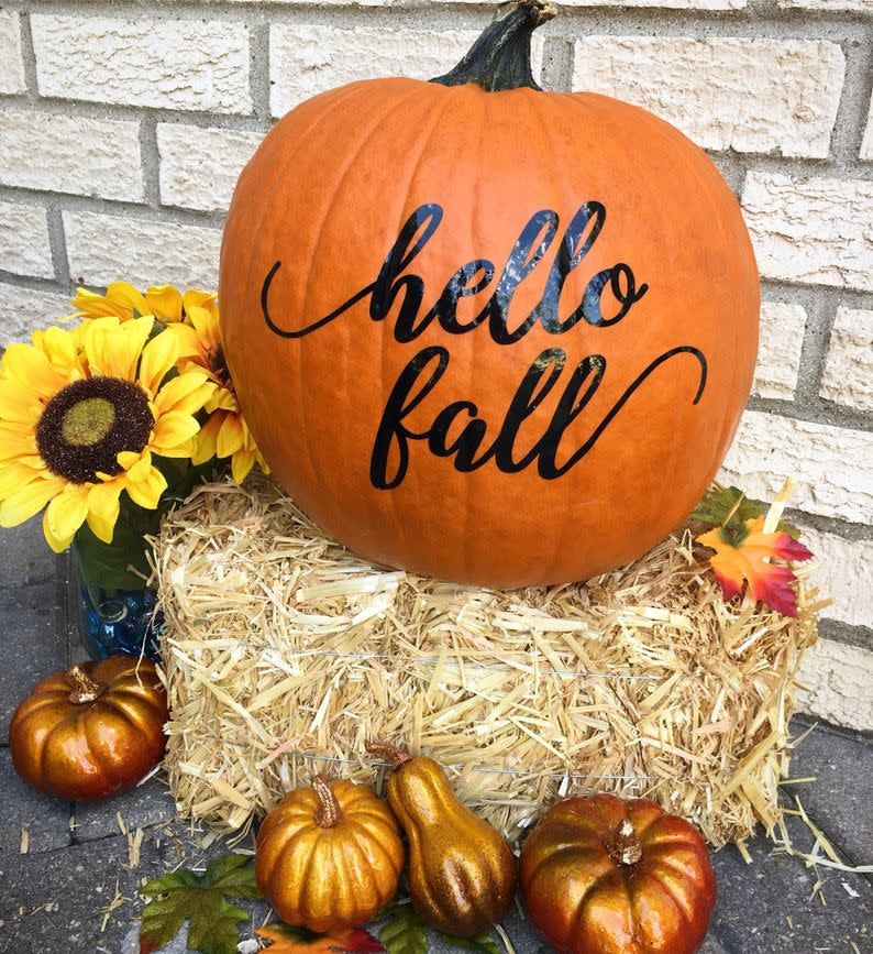 <p>Keep your Halloween decoration out for a little longer with this fall-friendly decal that you can just stick on a pumpkin.<strong><br></strong></p><p><a class="link " href="https://go.redirectingat.com?id=74968X1596630&url=https%3A%2F%2Fwww.etsy.com%2Flisting%2F630726832%2Fhello-fall-pumpkin-decal-adhesive-vinyl&sref=https%3A%2F%2Fwww.womansday.com%2Fhome%2Fdecorating%2Fg331%2F4-no-carve-pumpkin-ideas-124409%2F" rel="nofollow noopener" target="_blank" data-ylk="slk:SHOP DECALS;elm:context_link;itc:0;sec:content-canvas">SHOP DECALS</a> </p>