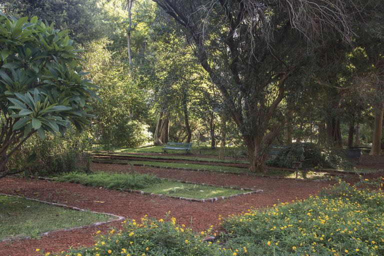 El Jardín Botánico se extiende en 7 hectáreas verdes en medio de la Ciudad de Buenos Aires