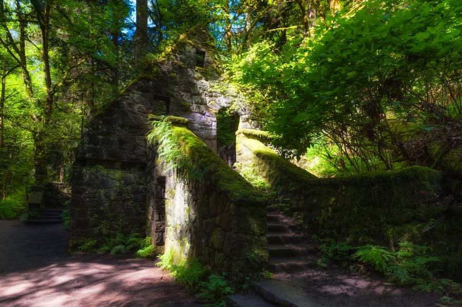 <em>One of the largest urban forest reserve in the country, Forest Park, Portland, Oregon, sits an abandoned structure with only stone walls and staircase remaining. It was originally built in the 1930s and closed after heavy damage from the 1962 Columbus Day storm. It has been dubbed the Witch’s House by the locals who hike the many trails in this reserve.</em>