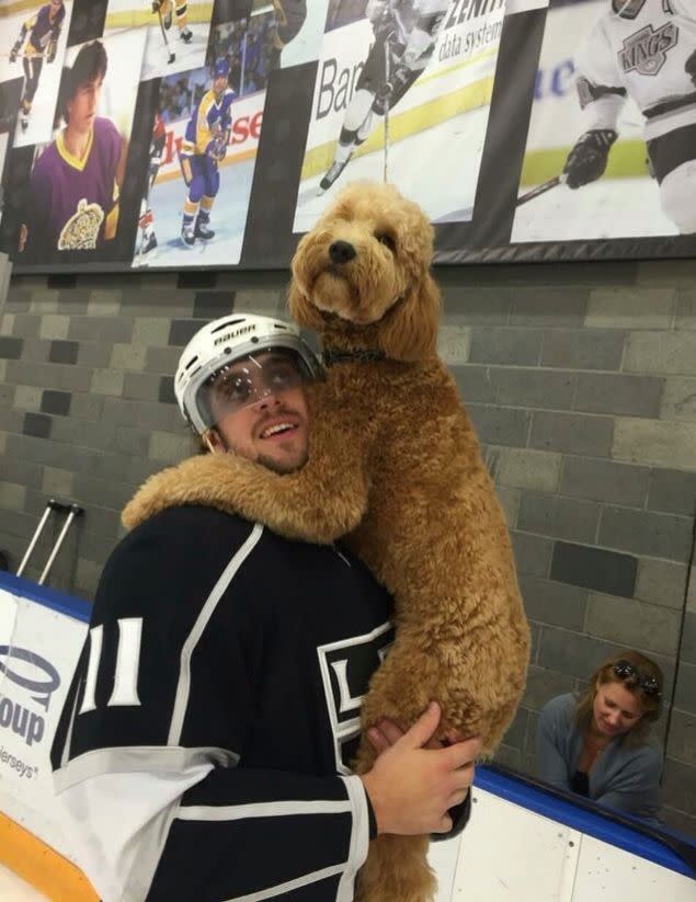 L.A. Kings mascot does not like the Dodgers' trade plans