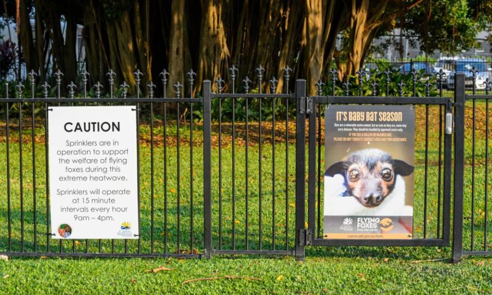 A sign with a health warning relating to a spectacled flying fox colony, in Cairns, Queensland, Australia.