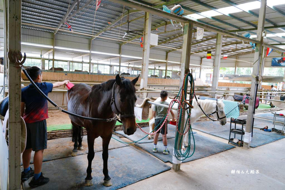 新竹尼普頓馬術創藝園區