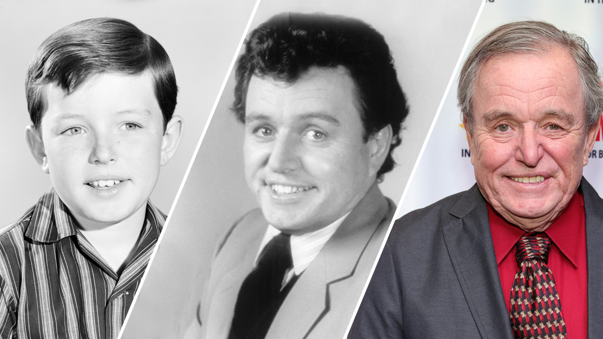 Jerry Mathers played Theodore 