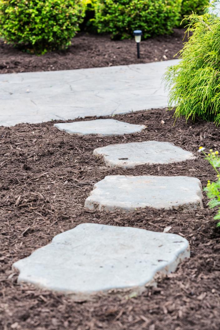 Garden mulch keeps weeds at bay.