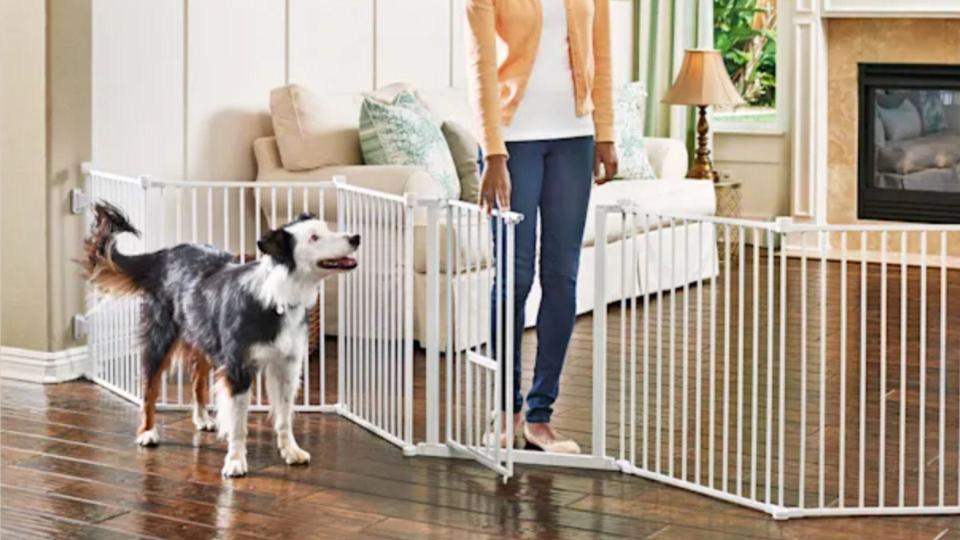 Black Friday 2020: You & Me Convertible Walk-Thru Pet Gate and Play Yard.