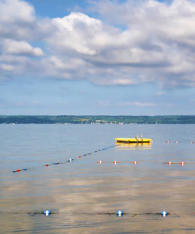 <p>Getty</p> The Cayuga Lake shoreline in Aurora, New York.