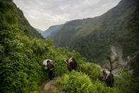 Honey hunters climb a hill carrying rope and other tools required for harvesting cliff honey in Dolakha, 115 miles east of Kathmandu, Nepal, Nov. 19, 2021. High up in Nepal's mountains, groups of men risk their lives to harvest much-sought-after wild honey from hives on cliffs. (AP Photo/Niranjan Shrestha)