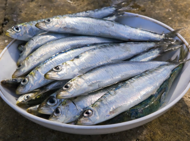 <b>Sardines </b><br>These tiny fish are the unsung stars of the sea. They are high in protein and loaded with omega-3s, which also help the body maintain muscle. And they're low in mercury and high in calcium, making them a smart fish pick for pregnant women. If the flavor doesn't appeal to you, "soak them in milk for an hour; it will remove any trace of fishiness," Iserloh says. <br><b>Eat more</b> "Use sardines in recipes you like that call for anchovies, including Caesar salad and stuffing," Iserloh says. Or make a sardine melt: Toss whole sardines with chopped onions, fresh herbs and diced bell peppers. Put the mixture on top of a slice of pumpernickel or rye bread, cover with a slice of cheddar and broil.