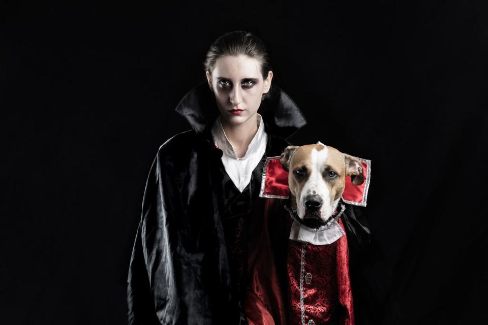 18) Dog and Owner Vampire Costumes