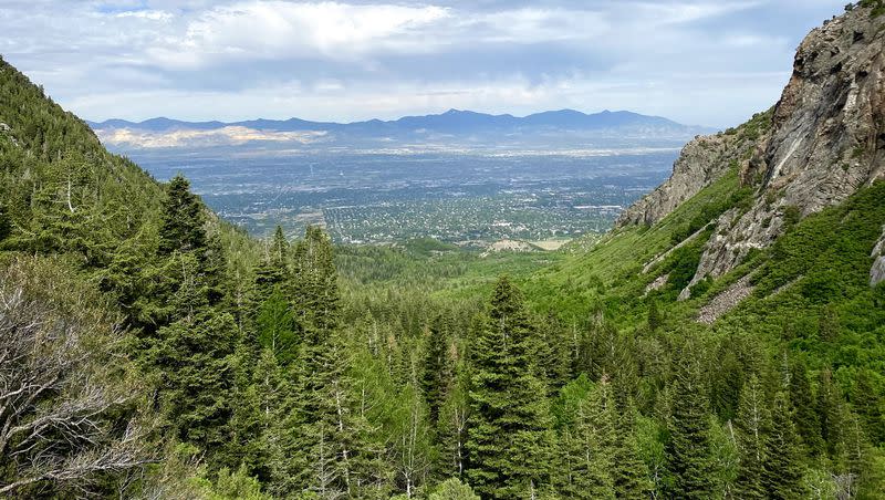 Utah was ranked No. 7 for best states to camp in a new analysis that combined 10 different factors into the ranking. This was a sunny summer day in Cottonwood Canyon, Utah, on June 4, 2020.