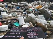 綠色和平《台灣海岸快篩調查》指出，新北市瑞芳區台2線83.2K海岸垃圾量最多，是全台平均的十倍以上。（綠色和平提供）