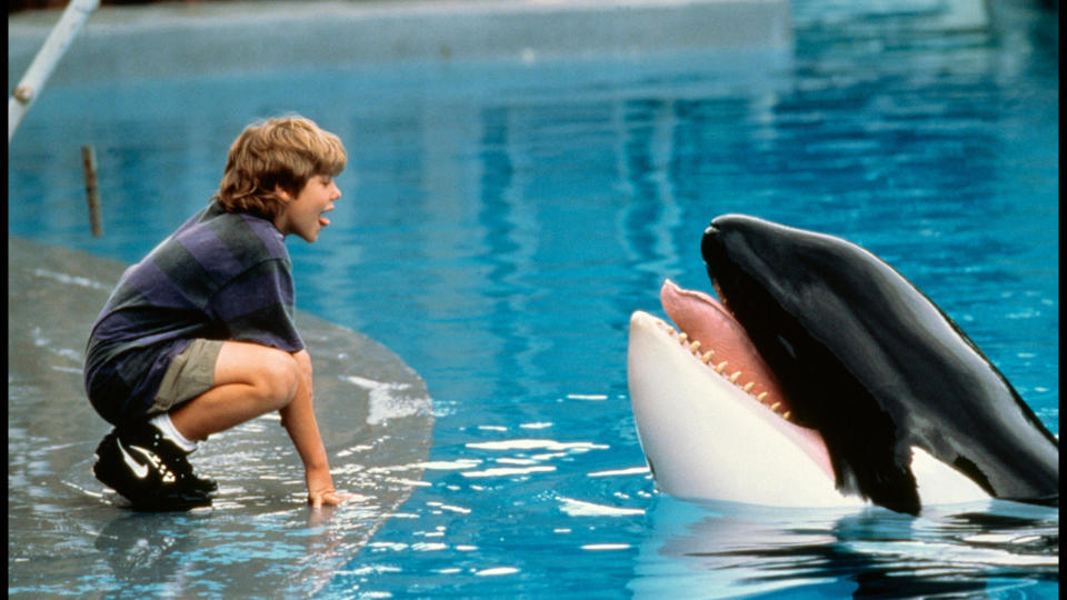 Free Willy