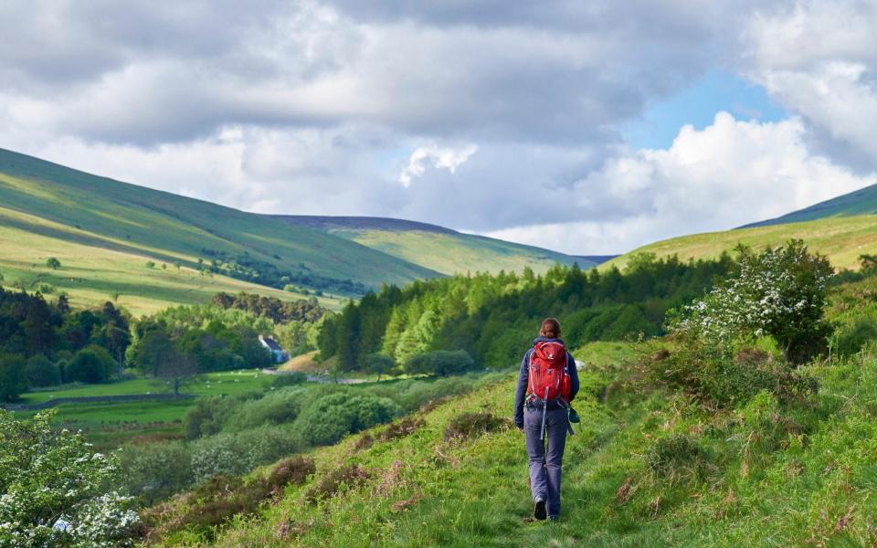 The Cheviot Hills in Northumberland are blissfully empty in August