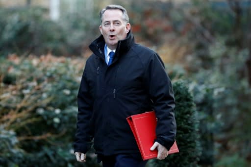 International Trade Secretary Liam Fox accused MPs of trying to "hijack Brexit"