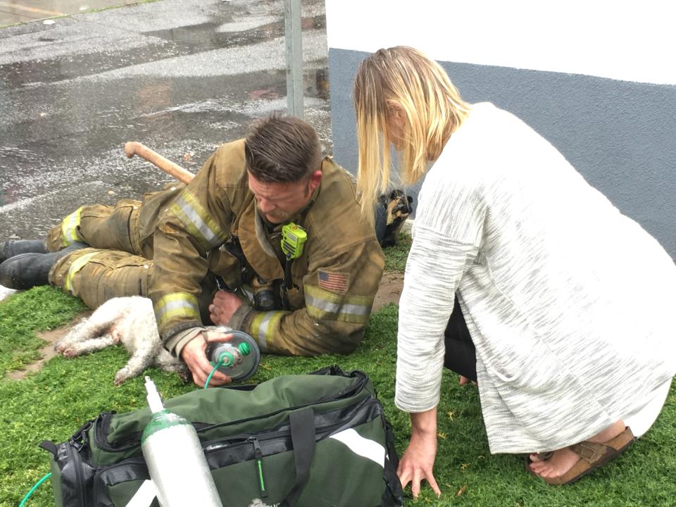 Photo credit: Billy Fernando/Courtesy Santa Monica Fire Department