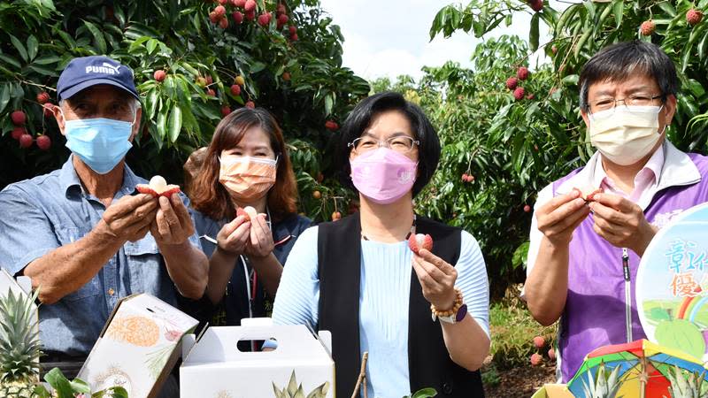 芬園鄉農會玫瑰紅荔枝推廣　拉鍊荔枝一剝就開不沾手