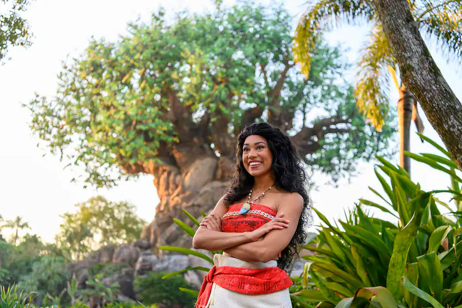 Moana disney park