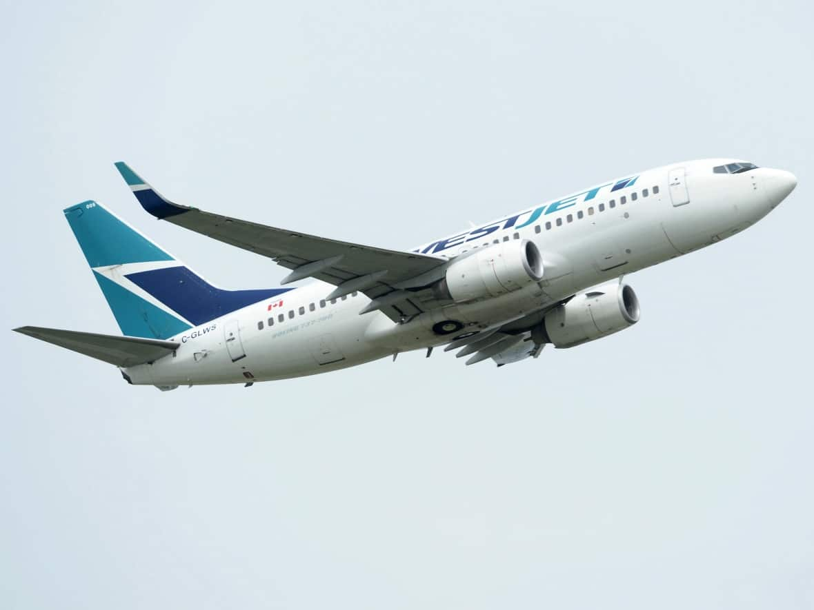 A spokesperson for WestJet said it's impossible to open secured pressurized airplane doors at high altitudes. (Jonathan Hayward/The Canadian Press - image credit)