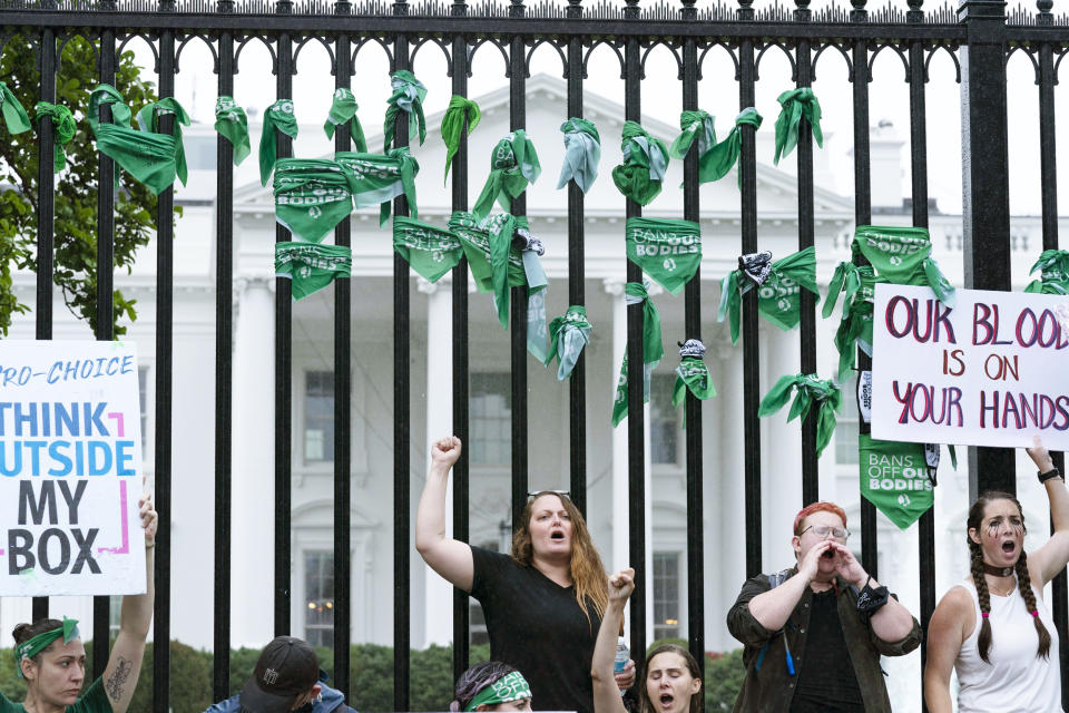 Abortion rights activists protest outside of the White House (Jose Luis Magana / AP)