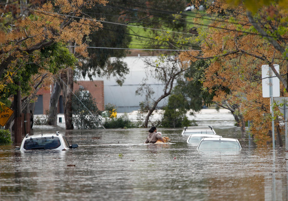 A man and a dog navigate floodwater in Maribyrnong, Victoria. 