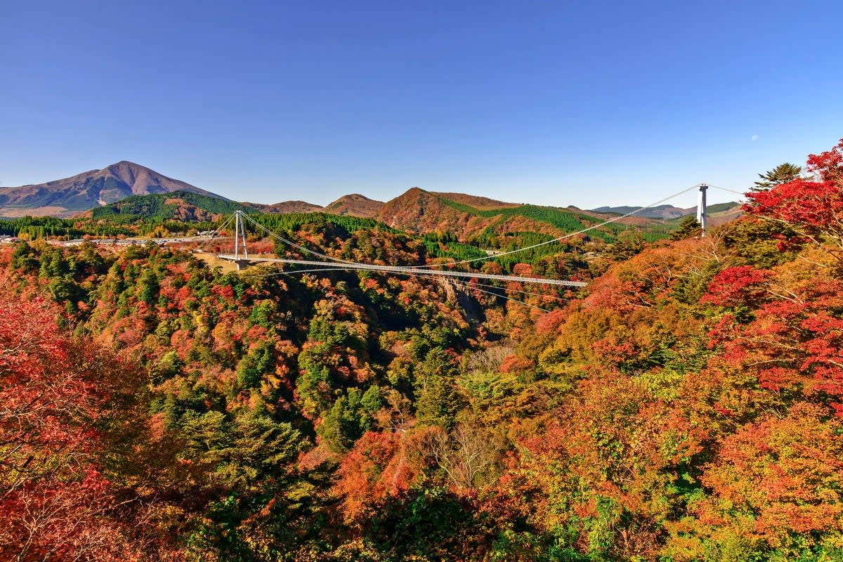 Japan’s landscapes come alive with colour in autumn (JNTO)