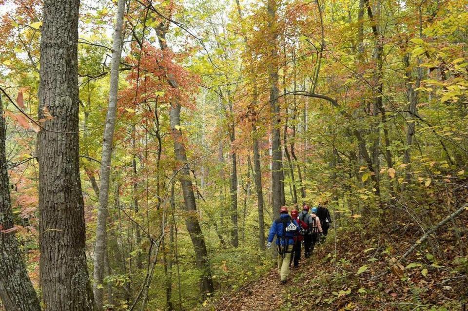 Asheville ranks as a top fall vacation destination. This file photo was taken at nearby Navitat Canopy Adventures. John D. Simmons/jsimmons@charlotteobserver.com