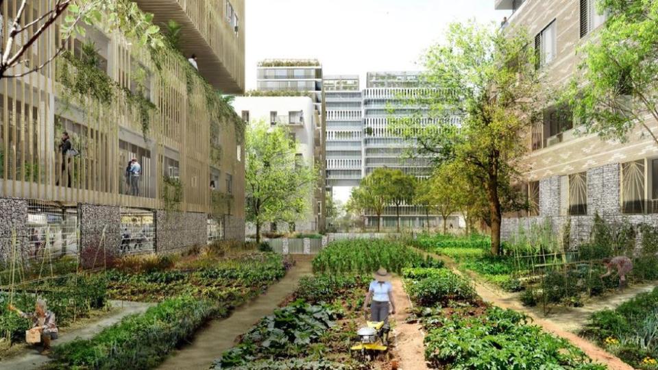 Proyecto de huerta en París