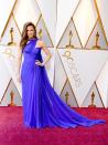 <p>Jennifer Garner wears a grecian-style sheer electric-blue gown. She brings serious Hollywood glam to the red carpet.</p>