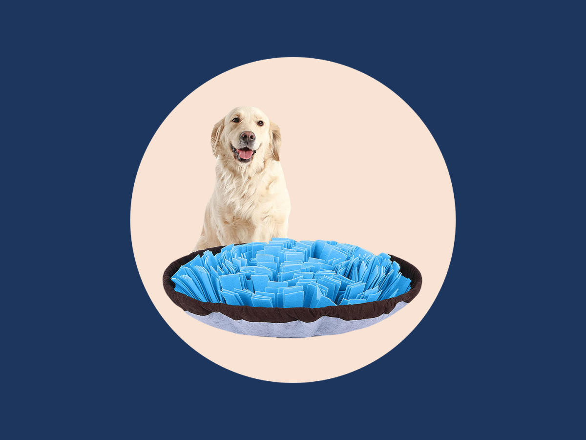 The Best Snuffle Mats to Entertain Your Dog