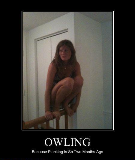 The photo that started the 'Owling' trend. (Reddit)