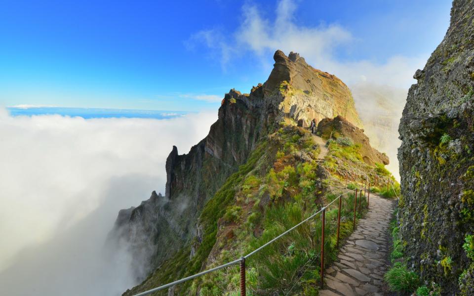 madeira - Getty