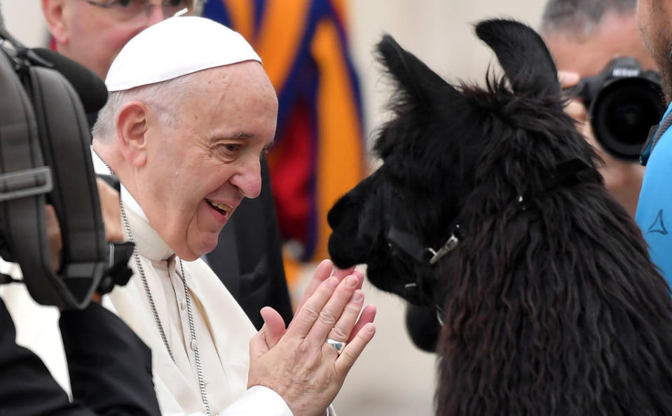 The Pope and a llama